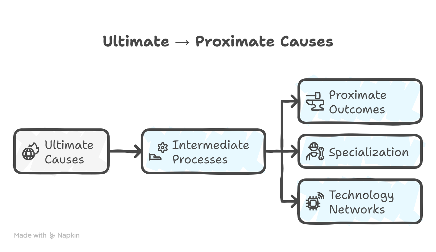 Flow from ultimate to proximate causes