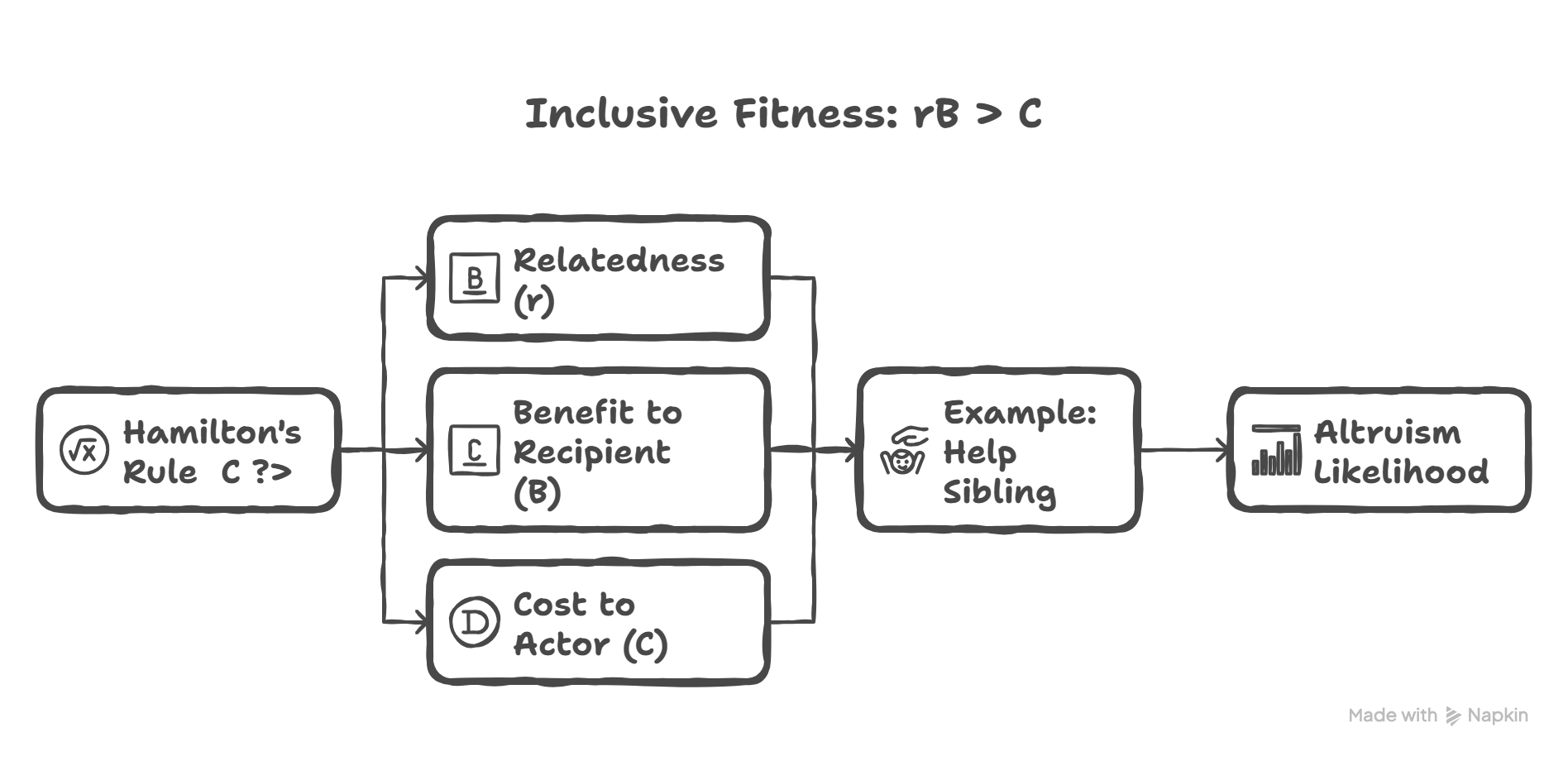 Inclusive fitness and Hamilton's rule (rB > C)